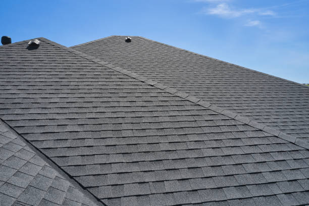 Best Sheet Metal Roofing  in South Laurel, MD